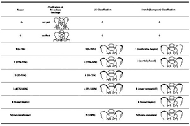 Imaging In The Diagnosis And Monitoring Of Children With