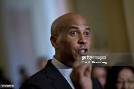 85,702 Cory Stock Photos, High-Res Pictures, and Images