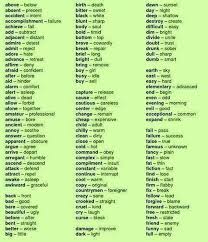 Pin On Language