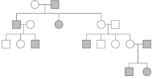 Solved Examine The Following Pedigree Determine The