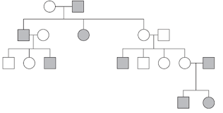 solved examine the following pedigree determine the