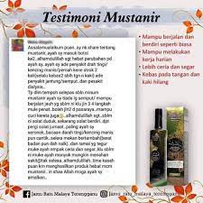 Jamu ratu malaya royal v, mustanir, marjane oil, kopi ratu, detox. Jus Mustanir Jamu Ratu Malaya Jrm Shopee Malaysia