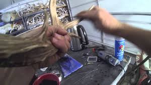 The sika deer got its name from the word shika, which translates the free deer coloring pages to print depict the deer in various settings, natural as well as captive. How To Restore Color To Deer Antlers Cheap Youtube