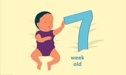 Your 7 Week Old Baby Development Milestones