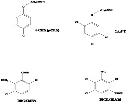 Plant tissue culture media (medium) is also known as growth media, culture medium, substrate etc. Plant Tissue Culture Media Intechopen