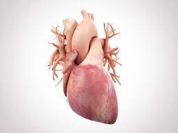 Arsenic In Drinking Water May Damage The Heart American Heart Association