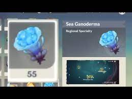May 21, 2021 · silk flowers are a bit different than other plants in genshin impact because they only grow in two separate locations in the game. Sea Ganoderma Location Farming Route Sea Ganoderma Ascendcion Kazuha Flower Genshin Impact Youtube
