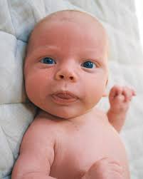 Susie Harrison (@susieharrison_) • Instagram photos and videos