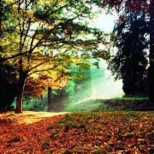 Great Fall Hikes 15 Gorgeous Trails For Fall Foliage In The West Fall Hiking Hiking Places Hiking Trip