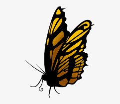 To created add 29 pieces, transparent butterflies images of your project files with the background cleaned. Free Png Butterfly Png Images Transparent Butterfly Png Png Image Transparent Png Free Download On Seekpng