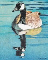 Canada Goose Drawing By Dan Miller Goose Drawing Color Pencil Drawing Art Drawings Beautiful
