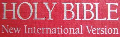 It includes a few different versions of the bible, such as the niv bible and the esv bible. New International Version Niv Bible Pdf