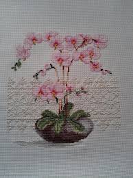 Orchidees Elde Nakis Kanavice Nakis Desenleri