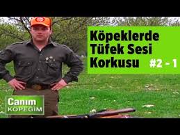 Kopeklerde Tufek Sesi Korkusu Canim Kopegim Sezon 2 B1 Yaban Tv Youtube
