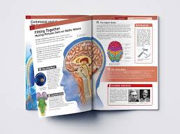 Maybe you would like to learn more about one of these? Human Body Brain And Nervous System Knowledge Encyclopedia For Children Wonder House Books 9789389931259 Amazon Com Books