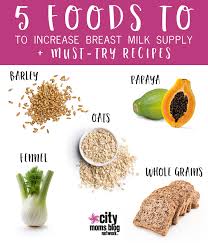 Ever eaten a batch of lactation cookies? 5 Foods To Increase Your Breast Milk Supply Recipes