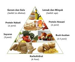 7 kelas makanan dan fungsinya. Asm 454 Piramid Makanan