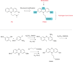 When adverbs appear as heads of structure of modification, they may be modified by qualifiers, other adverbs. Chemical Structure Modification Strategies Of Pi003 Compound Pi003 Was Download Scientific Diagram
