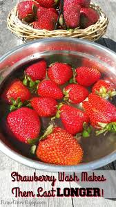 Do Your Strawberries Spoil Fast Try This Strawberry Wash Also Great For Other Pro Fruit And Vegetable Wash How To Clean Strawberries How To Wash Strawberries