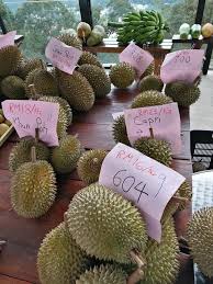 Balik pulau is a town within the jurisdiction of penang island city council in the malaysian state of penang. Offer Offer Fresh Durian Balik Pulau Timez Durian Farm Facebook