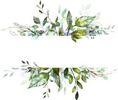 botanic png free botanic png transparent images 84188 pngio botanic png transparent