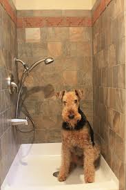 Blue subway shower tiles frame two white glass mini brick tiled shower niches connected by white glass iridescent accent tiles. News From Inglenook Tile New Pictures Products And Ideas About Our Brick Tile