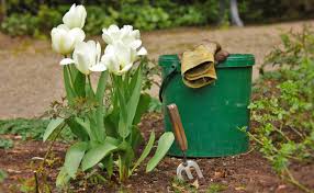 Set up your garden so that your watering practices deliver water to the root system, not to the leaves. 25 Spring Garden Tips Checklist Get Your Garden Ready For Spring