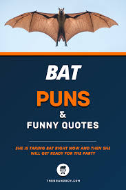 135 Best Bat Puns And Funny Quotes Thebrandboy Com Funny Quotes Puns Funny Puns