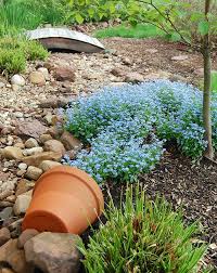 Touch device users, explore by touch or with swipe gestures. 25 Spilled Flower Pot Ideas For 2021 Best Photos Decor Home Ideas