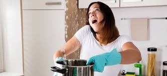 To fix your leaky roof, look for the attic of your house and enter inside. How To Fix A Leaky Roof By Yourself