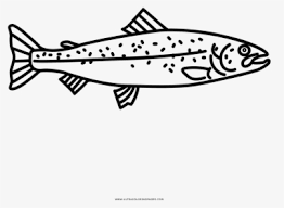 The web color salmon is displayed at right. Salmon Coloring Page Png Download Trout Transparent Png Transparent Png Image Pngitem