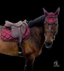 Ensemble Tapis Bonnet Bordeaux Gris Anthracite Serie Classique Alexandra Ledermann Sportswear Bonnet Cheval Cheval Double Poney