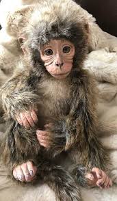 Maybe you would like to learn more about one of these? Monkey Angelica Holm Large Size By Angelica Holm Bear Pile