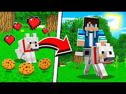 How To Upgrade Wolves In Minecraft Tutorial Pocket Edition Ps4 Xbox Pc Switch Youtube In 2020 Minecraft Tutorial Minecraft Designs Minecraft