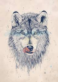 Using your reference photos to guide you, start turning those basic shapes into a wolf by connecting and smoothing the lines. Wolf Drawings Fine Art America