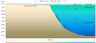 18 1 The Topography Of The Sea Floor Physical Geology