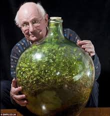 40 Year Old Self Sustaining Ecosystem In A Jar Reclaim Grow Sustain Hmmm Bottle Garden Ecosystems Terrarium