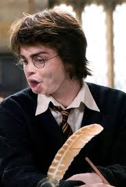 Harry Pogger🧑🏻‍🦲 : r/HarryPotterMemes
