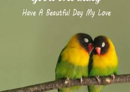 Good Morning Sweetheart Love Birds Images Good Morning Images Quotes Wishes Messages Greetings In 2020 Cute Good Morning Images Love Birds Quotes Wishes Images
