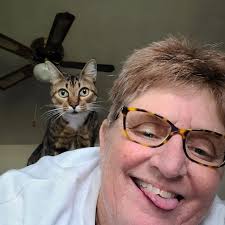 Looking for winter leaves for raised beds in Galveston