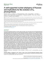 Image result for Leptocarydion vulpiastrum