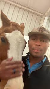 Walk by Faith: Lessons from My Horse Two Socks