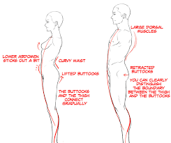 07 (3.83) debbie puts on an exhibitionist show before being kidnapped. Course On Drawing Men And Women Drawing Tutorials By Palmie 2 By Clipstudioofficial Clip Studio Tips