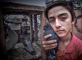 N'' Cheerleader, 2000 (oil