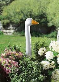 Check spelling or type a new query. Gartendekoration Und Balkondeko Kaufen Brigitte Hachenburg