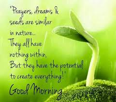 Pin By Mk On Morning Afternoon Evening Quotes Good Morning Quotes Morning Quotes Morning Quotes Images