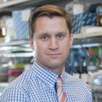 Center for Hematologic Malignancies: Faculty