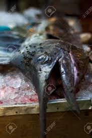 The Fastest Fish In The Ocean Lies On A Table Covered In Flies Stock Photo Picture And Royalty Free Image Image 18435507
