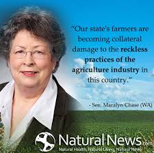 Create professional sales quotes and business proposals to win more deals. Our State S Farmers Are Becoming Collateral Damage