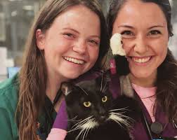 The Changing Role of the Technician